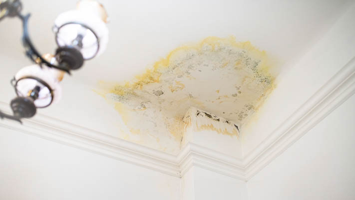 Mold caused by a ceiling water leak