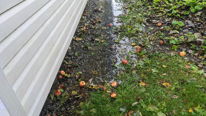Pooling water might be a sign of a hidden slab leak